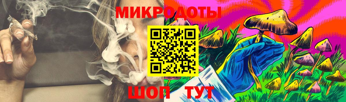 Галлюциногенные грибы мухоморы Великий Устюг